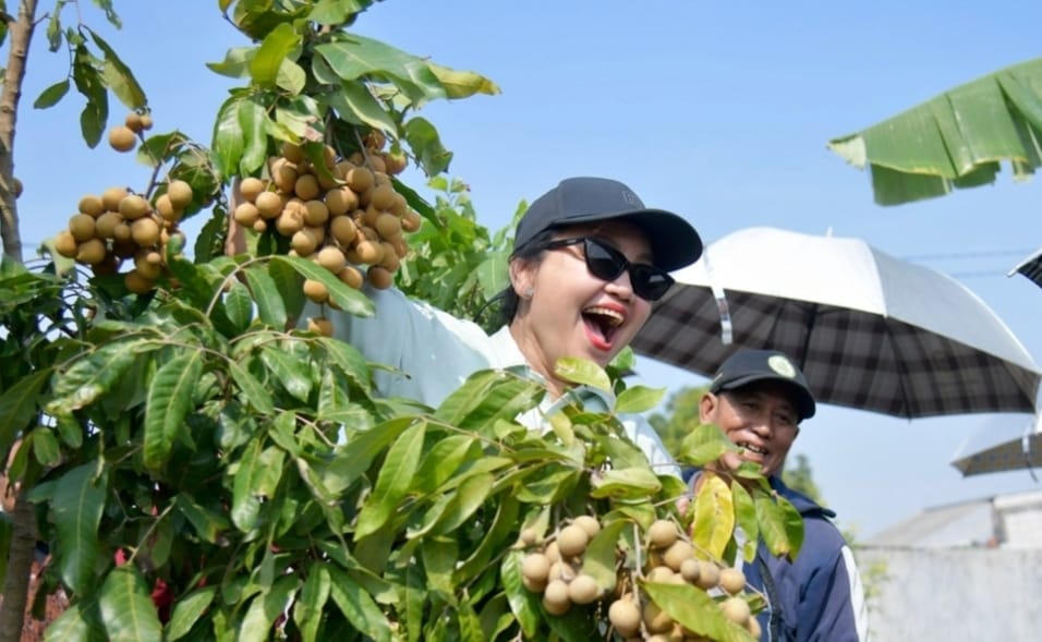 IMG-20260714-WA0003